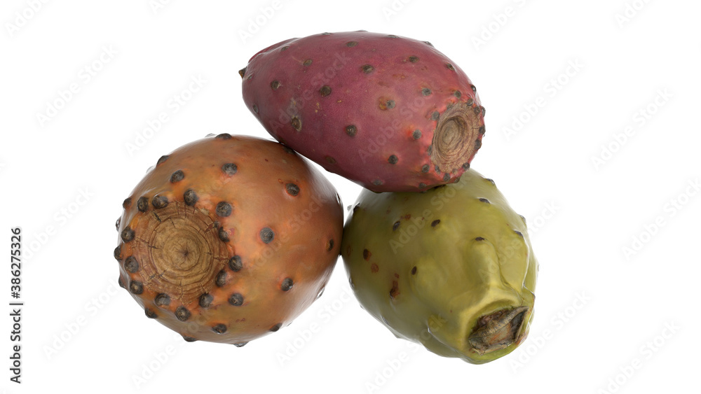 Prickly Pears 3D isolated Background Prickly Pears 3D isolated Background