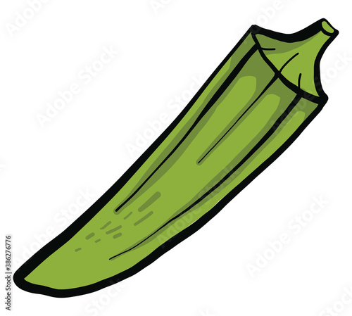 Green small okra, illustration, vector on white background