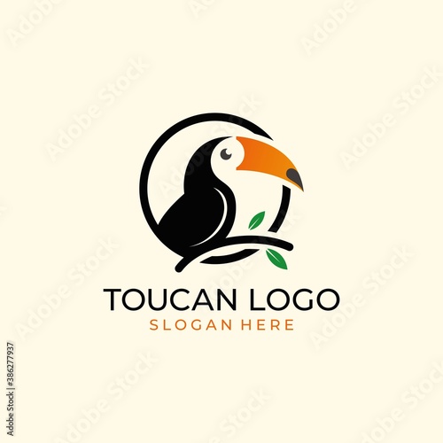 toucan tropical bird logo icon vector template in colorful flat line outline style illustration
