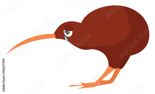 Sad kiwi the bird, illustration, vector on white background