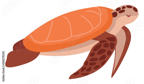 Sea turtle, illustration, vector on white background