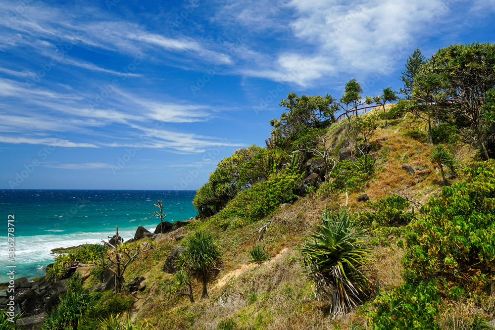 View across steep headland with grass and trees to the ocean on a clear sunny day. Coolangatta, Queensland, Australia. 