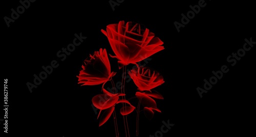 Red Flower Taken By X-Ray