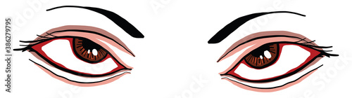Angry eyes, illustration, vector on white background.