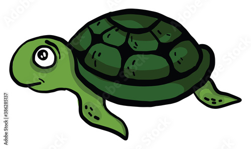 Scared green turtle, illustration, vector on white background.