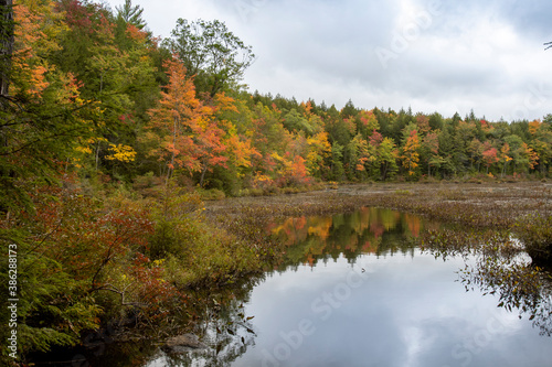 Фотография New Hampshire fall autumn colors reflect on the waters of Killburn Pond in Pisga