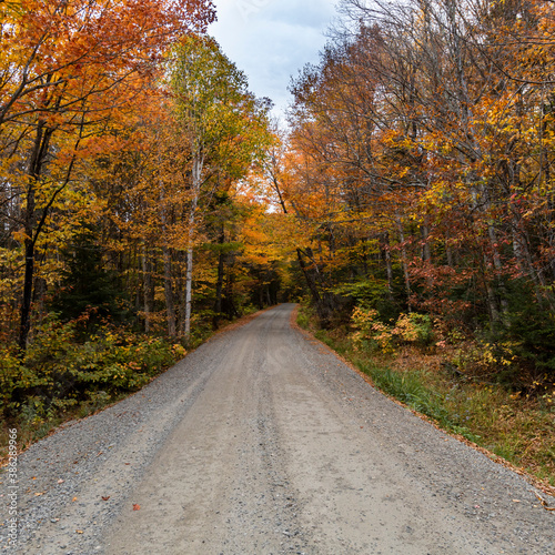 Autumn leaves bring vibrant colors to the back roads of New England