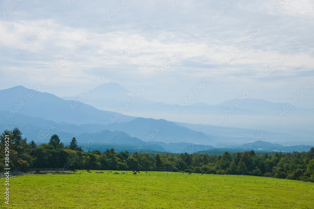 八ヶ岳牧場 八ヶ岳牧場