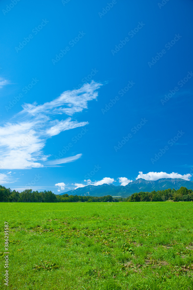 Obraz premium 草原と青空