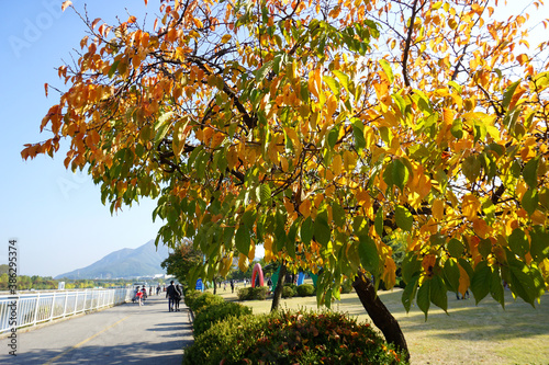 autumn in the park