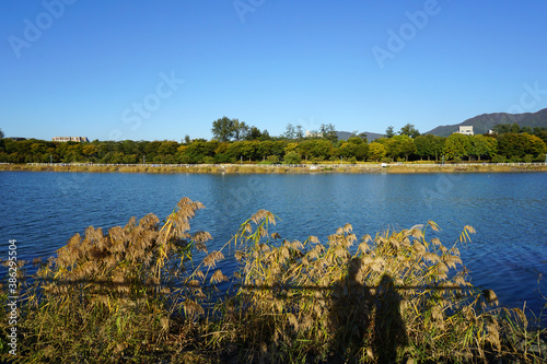 lake in autumn