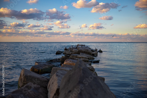 Seagulls sitting on rocks and enjoying the sunset over lake Erie, Ohio. 