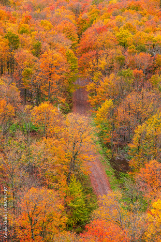 Aerial view of colorful fall foliage by the rural road in Michigan upper peninsula