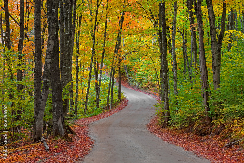 Colorful autumn trees along winding road in Michigan upper peninsula near Picture Rocks lake shore on the way to Beaver lake Colorful autumn trees along winding road in Michigan upper peninsula near Picture Rocks lake shore on the way to Beaver lake