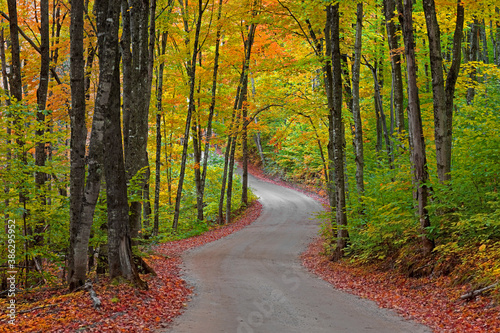 Colorful autumn trees along winding road in Michigan upper peninsula near Picture Rocks lake shore on the way to Beaver lake