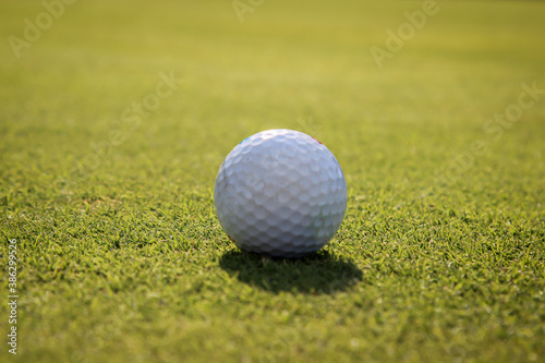 Impressionen vom Golfplatz. Golf der Sport der Konzentration und Technik.