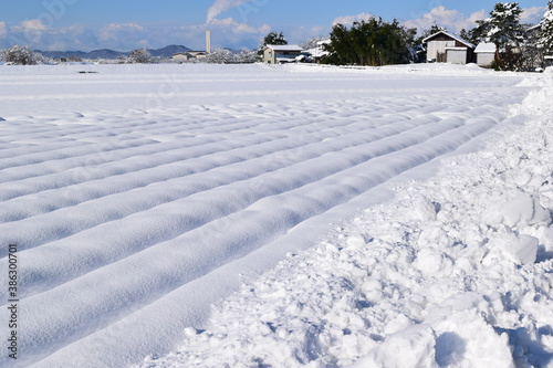 雪が積もった水田 山形県 © FRANK