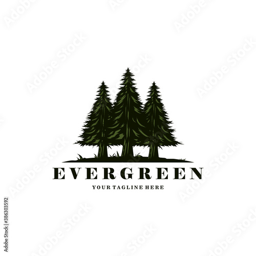 evergreen logo vintage illustration design, pine trees logo