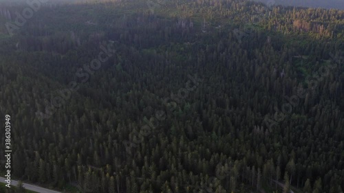 Drone flight over the forrest of the Black Forrest in Southern Germany photo