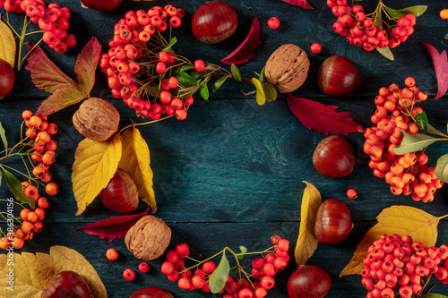 Autumn background with chestnuts and fall leaves, shot from the top with a place for text on a blue background