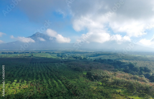 The view around Kalibendo plantation in Banyuwangi East Java Indonesia
