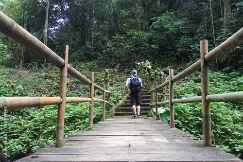 The view around Kalibendo plantation in Banyuwangi East Java Indonesia