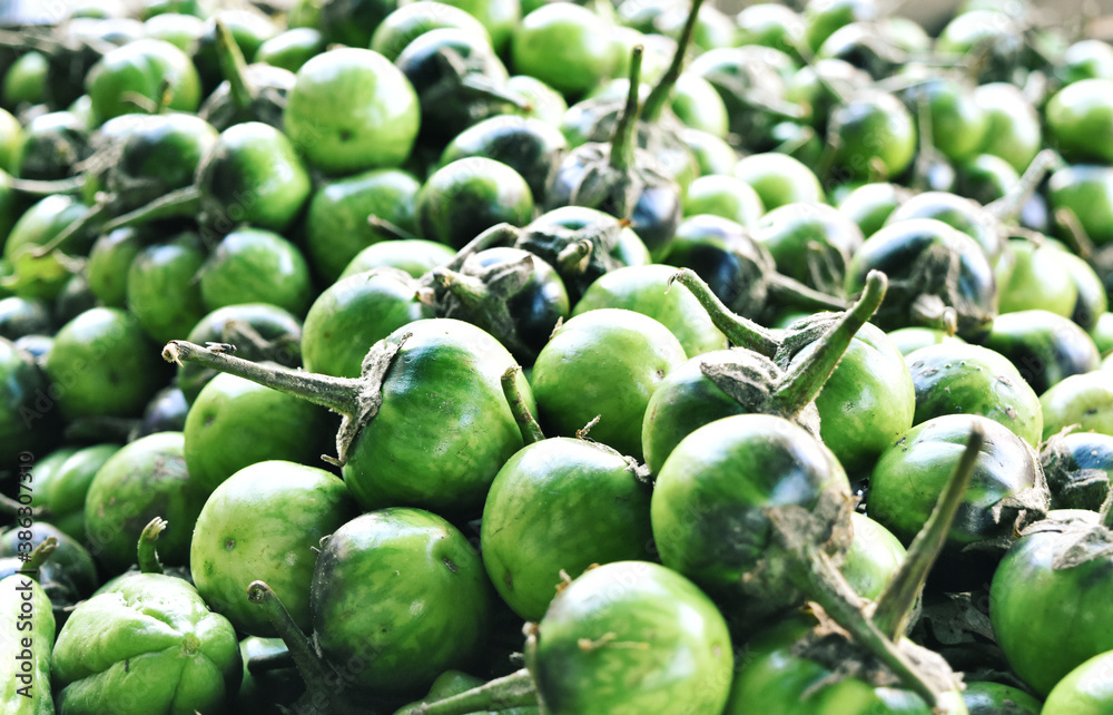 Eggplant fruit at traditional local market. Eggplant fruit at traditional local market.