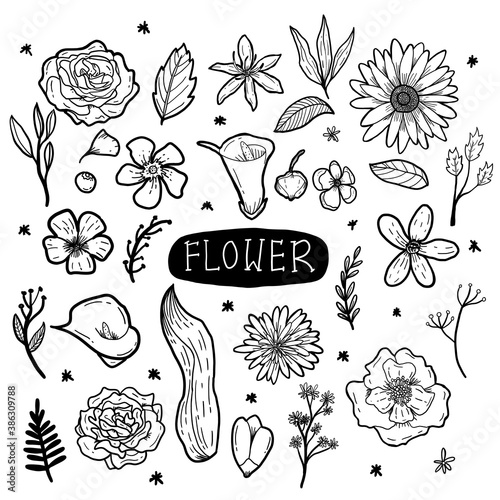 FLOWER DOODLE HAND DRAWN ILLUSTRATION
