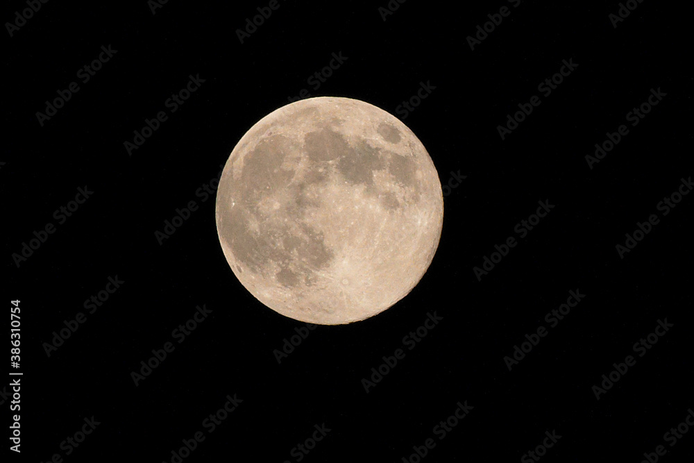 Obraz premium 月見る月はこの月の月