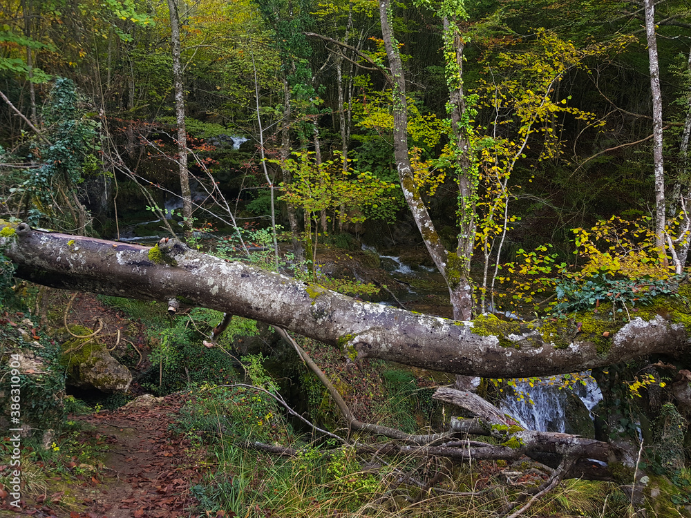 waterfall in the forest of ANDOIN in ALAVA waterfall in the forest of ANDOIN in ALAVA