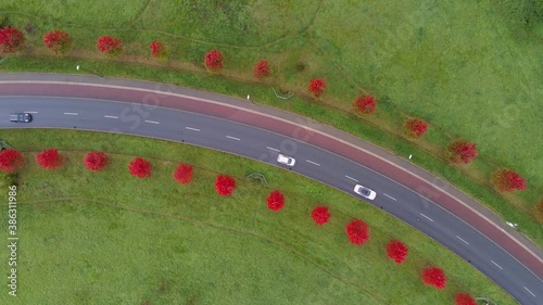 Cars driving on red tree lined avenue among green fields, aerial top down view photo