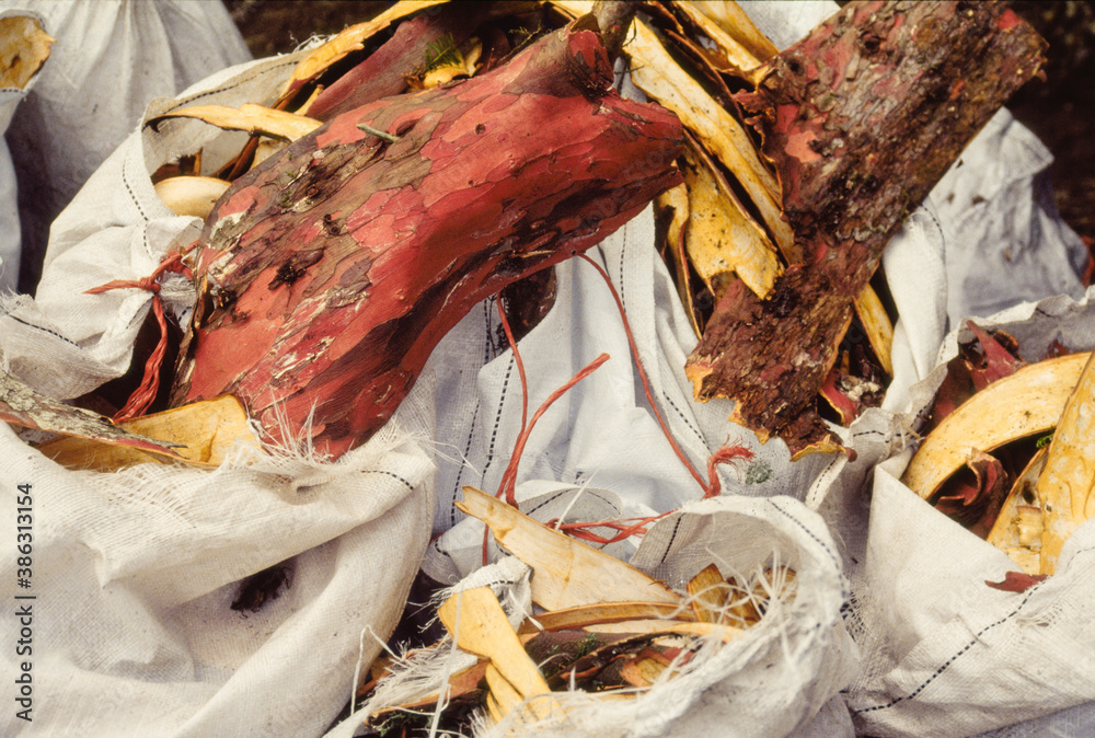 Φωτογραφία Bags of Yew Bark  - Circa 1990 - The bark was used to make Taxol - a drug to treat Ovarian cancer