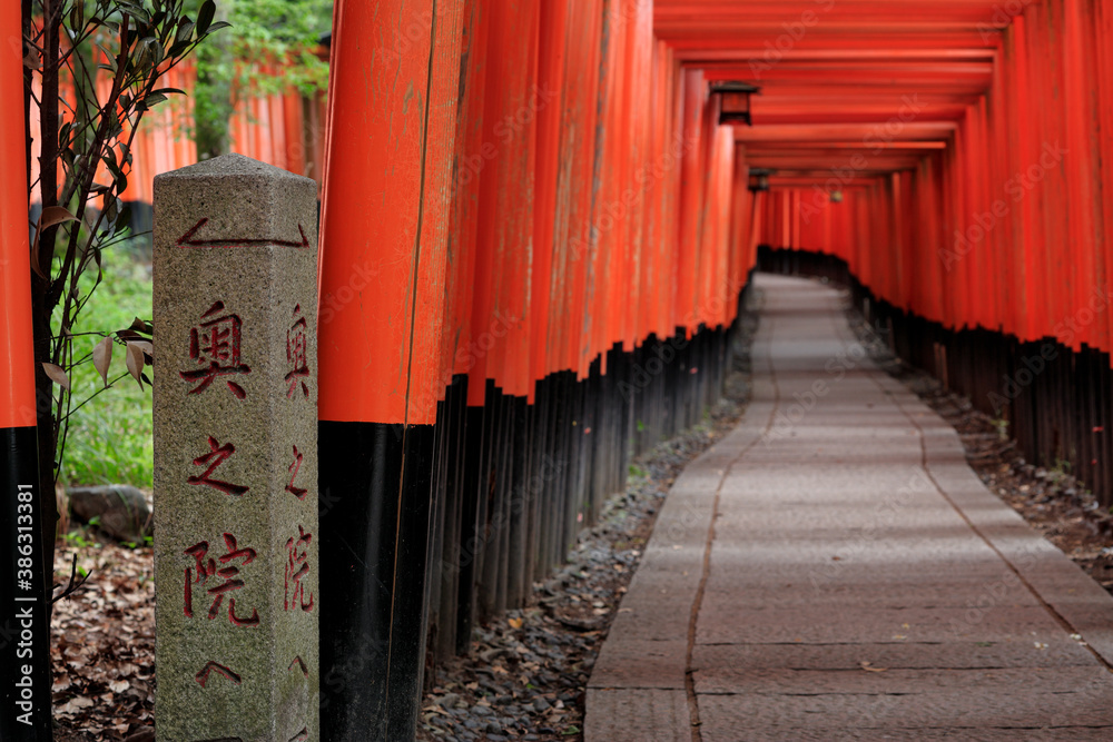 誰もいない京都伏見稲荷大社の千本鳥居 Stock 写真 Adobe Stock
