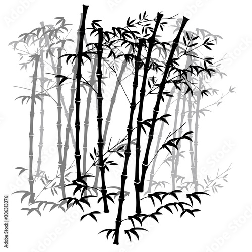 Fototapeta Naklejka Na Ścianę i Meble -  Illustration of bamboo groveNo.2