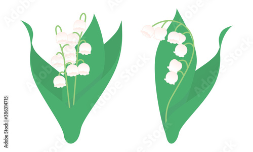 鈴蘭の花のイラスト／Lily of the valley flower illustration