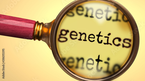 Examine and study genetics, showed as a magnify glass and word genetics to symbolize process of analyzing, exploring, learning and taking a closer look at genetics, 3d illustration