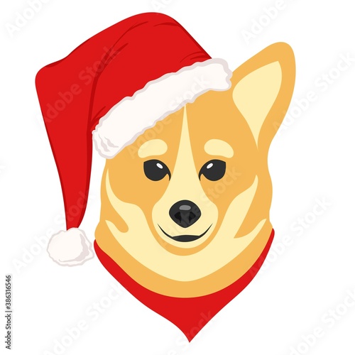 Christmas poster featuring a portrait of a dog wearing a Santa hat. Corgi. Isolated vector illustration. © iuvmiro