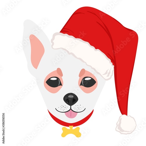 Christmas poster featuring a portrait of a dog wearing a Santa hat. Chihuahua. Isolated vector illustration.