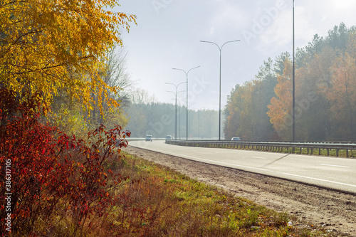 Motorway before bend and forest on both sides in autumn