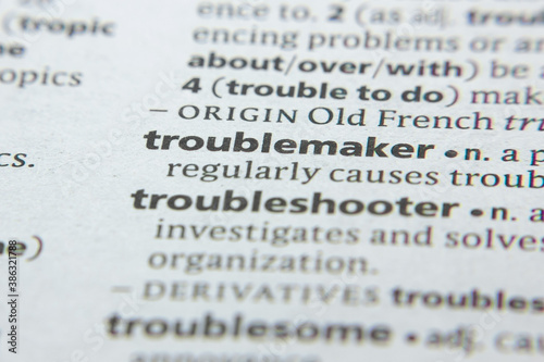 Word or phrase Troublemaker in a dictionary.