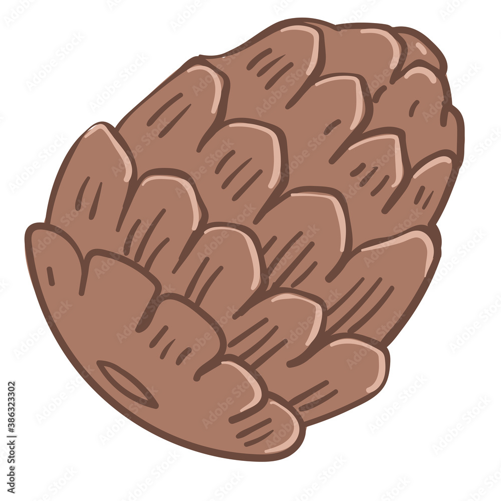 Pine tree cone, closed fir nut icon vector Pine tree cone, closed fir nut icon vector