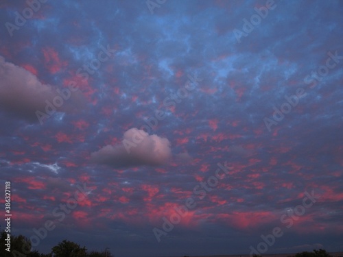 Nature, doberman, sea, water, shore, sun, sunset, sunset on the water, evening sunset, clouds.