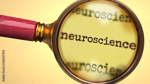 Examine and study neuroscience, showed as a magnify glass and word neuroscience to symbolize process of analyzing, exploring, learning and taking a closer look at neuroscience, 3d illustration
