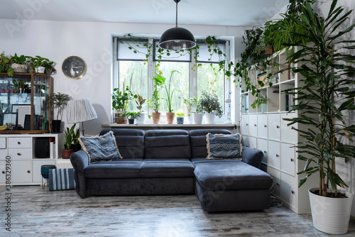 Modern living room with big window  grey sofa  white wooden furniture abd wooden floor in scandinavian design. Cozy interior space with green plants in apartment at home.
