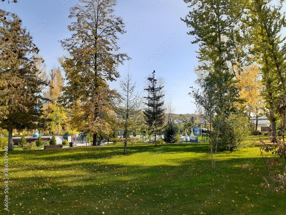 Obraz premium park in the city of Wols, Saratov region, Russia