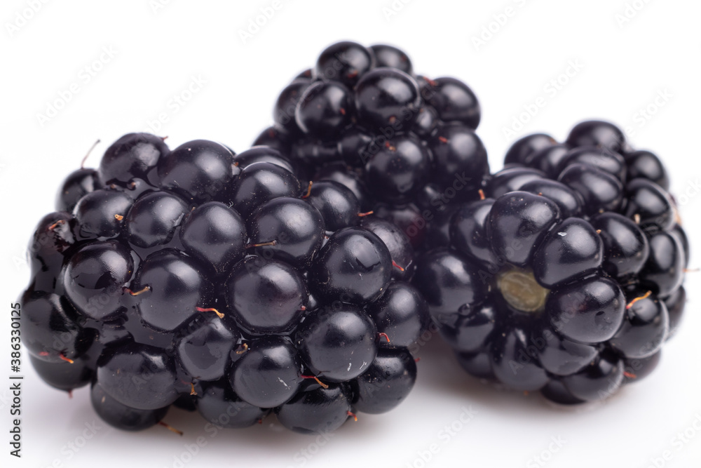 group of blackberries isolated on white background group of blackberries isolated on white background