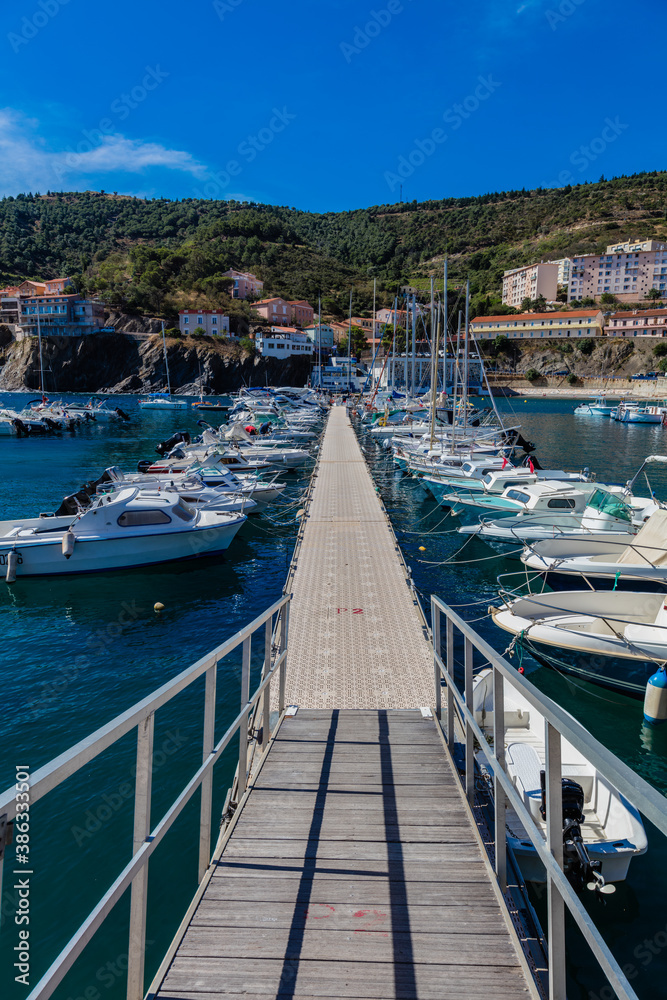 Obraz premium Cerbere