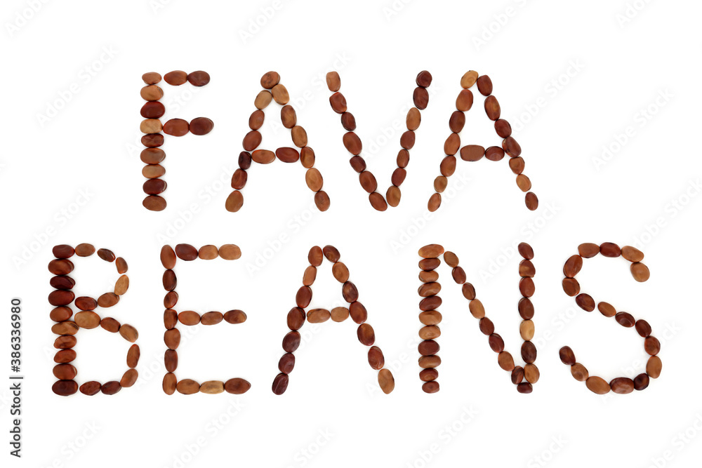 Fava beans, broad beans, forming a word phrase on white background. Vegan & vegetarian health food high in fibre, vitamins & minerals and having many health benefits. Flat lay, top view. Fava beans, broad beans, forming a word phrase on white background. Vegan & vegetarian health food high in fibre, vitamins & minerals and having many health benefits. Flat lay, top view.