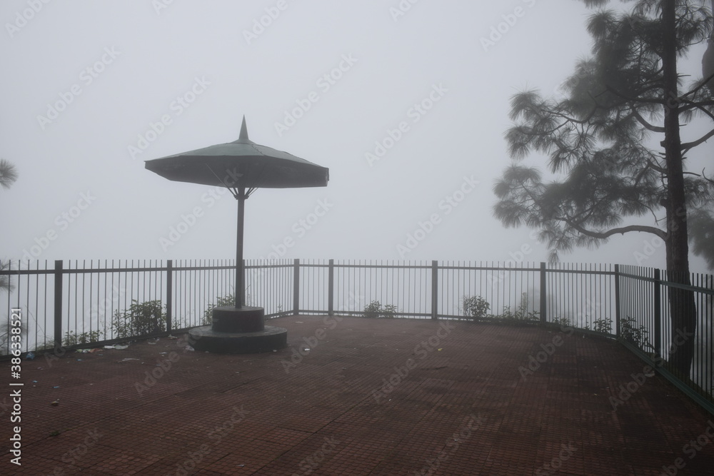 Beautiful picture of park covered with fog