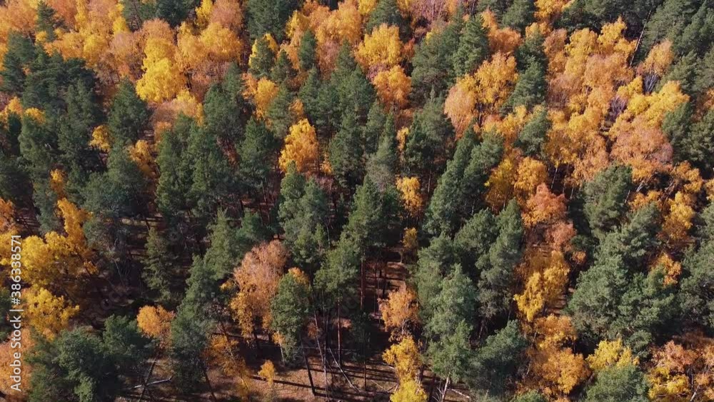 autumn nature with drone shooting autumn nature with drone shooting